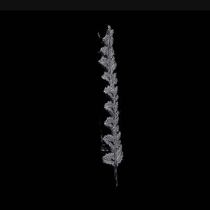 Feada Inspired Brooch
